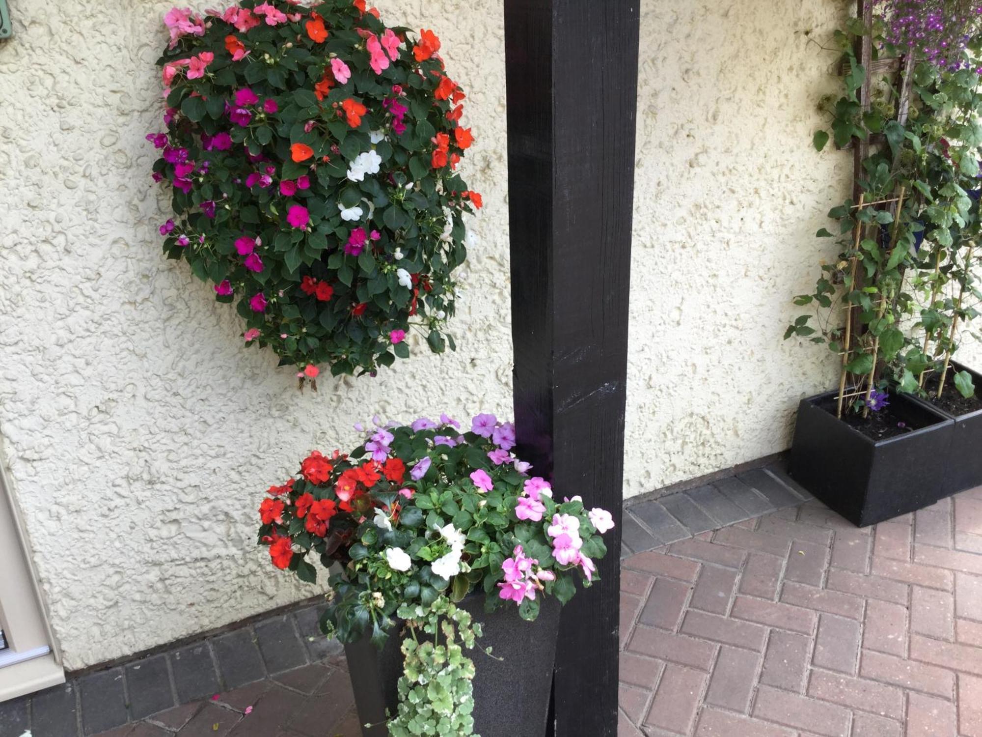 High Hedges Apartment B Oxford Exterior foto